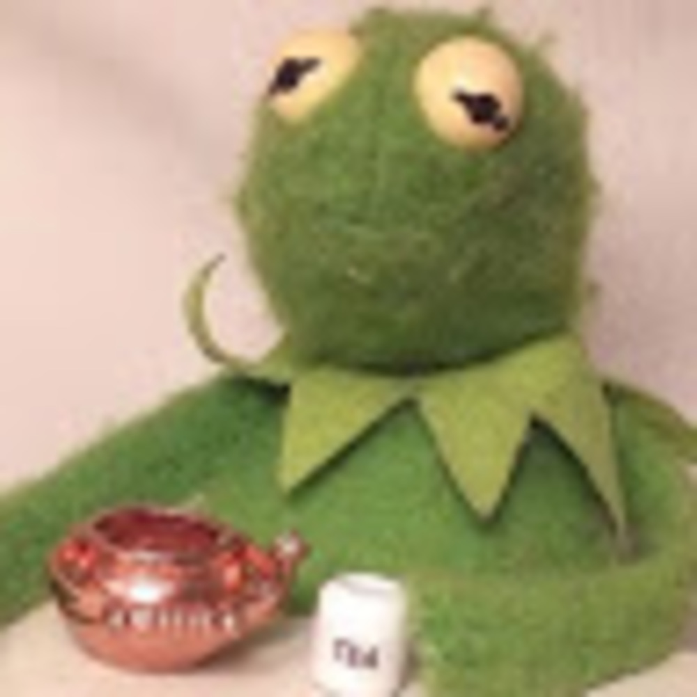 Meet your Posher, Lilly